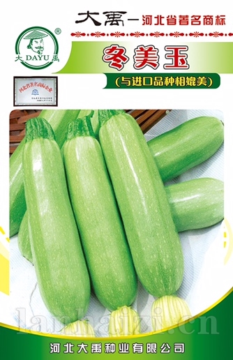 冬美玉