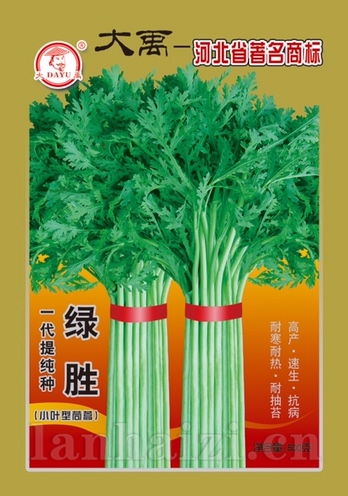 绿胜