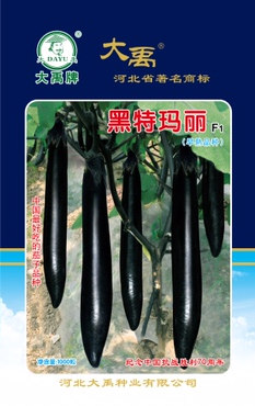 黑特玛丽