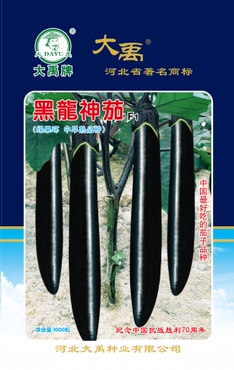 黑龙神茄