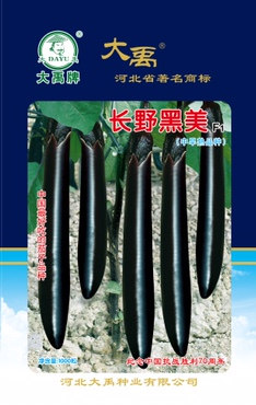 长野黑美