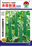 农信秋强杂交种