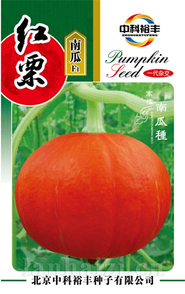 红栗