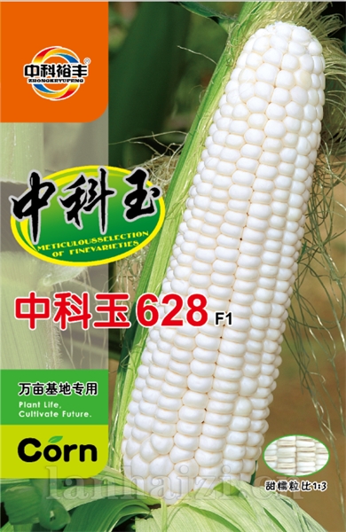 中科玉628