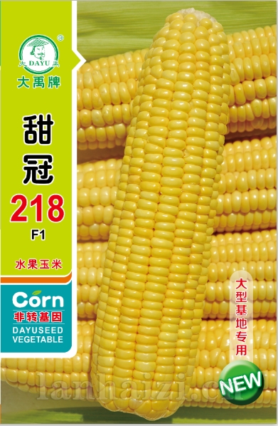 甜冠218 新