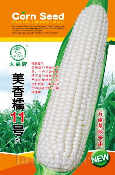 美香糯11号