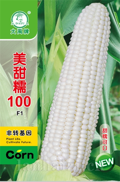 美甜糯100