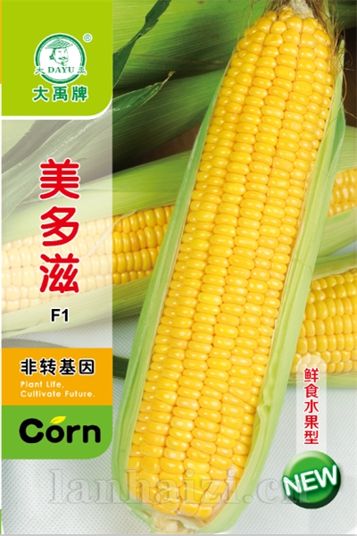 美多滋新