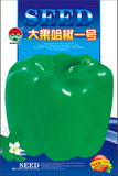 大果哈椒一号