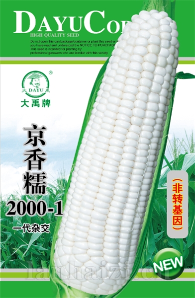 京香糯2000-1