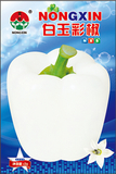 白玉彩椒