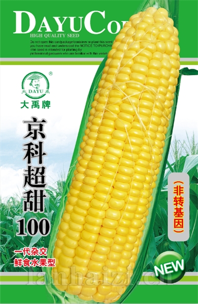 京科超甜100新