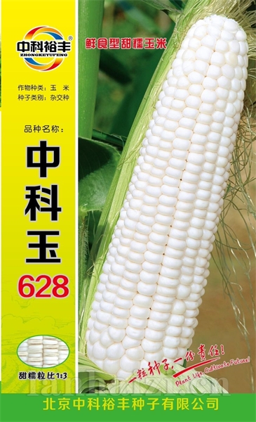 中科玉628