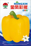 金凤彩椒