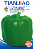 巨宝甜椒