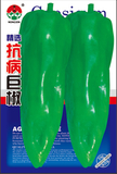  抗旱巨椒