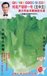 特高产球研一号（王中王）意大利全年耐抽苔生菜——叶菜种子