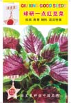 球研一点红苋菜——叶菜种子