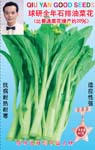 球研全年石排油菜花——叶菜种子