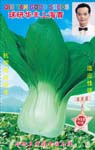球研华丰上海青——叶菜种子