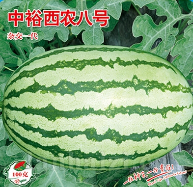 中裕西农八号