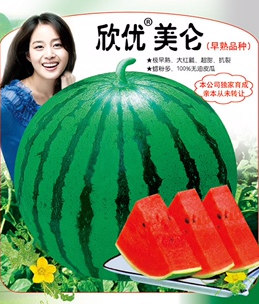 欣优美仑