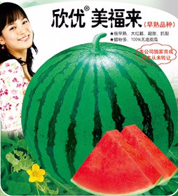 欣优美福来