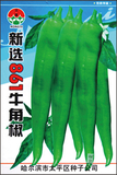 新选861牛角椒