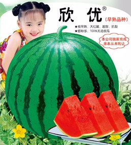 欣优