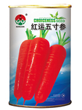 红运五寸参水萝卜