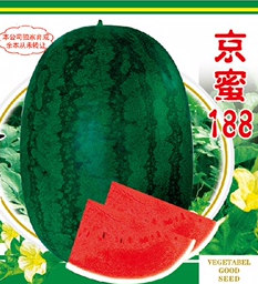 京蜜188