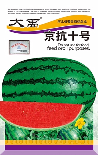 京抗十号