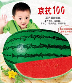 京抗100