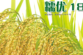  糯优18