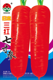 日本三红七寸参