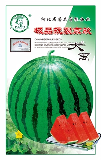 极品抗裂京欣