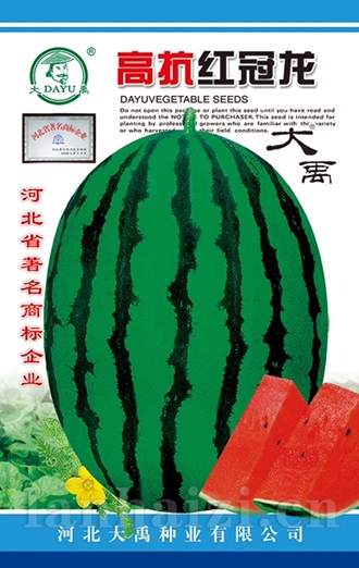 高抗红冠龙