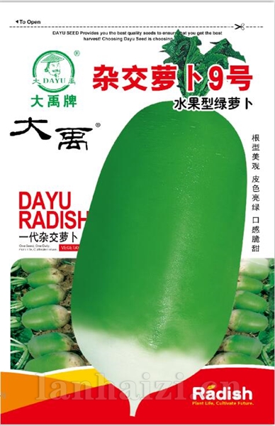 杂交萝卜9号