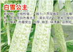  白雪公主（苦瓜)