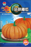 站秧南瓜