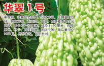 华翠1号