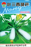 叶三西葫芦