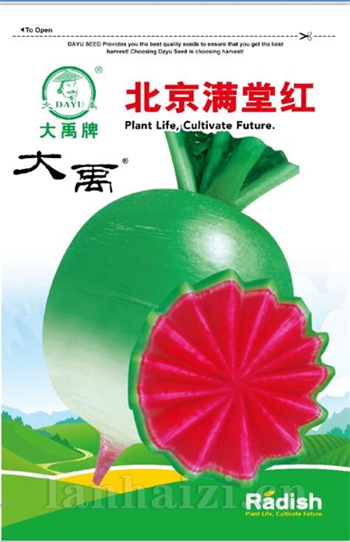 北京满堂红