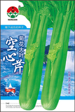 菊花大叶空心芹