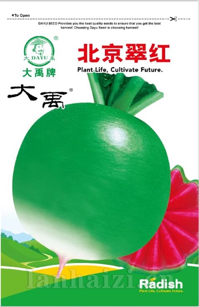北京翠红