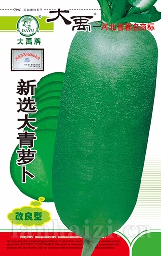 新选大青萝卜（改良型）