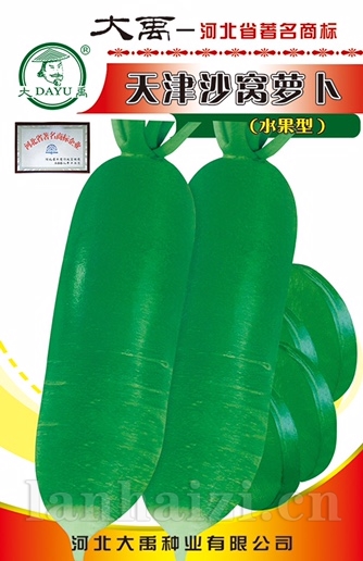 天津沙窝萝卜
