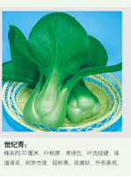 白菜系列-世纪青