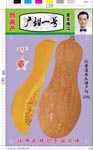甜如蜜蜜本南瓜——南瓜种子
