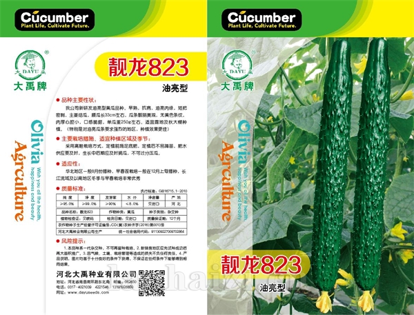 靓龙823